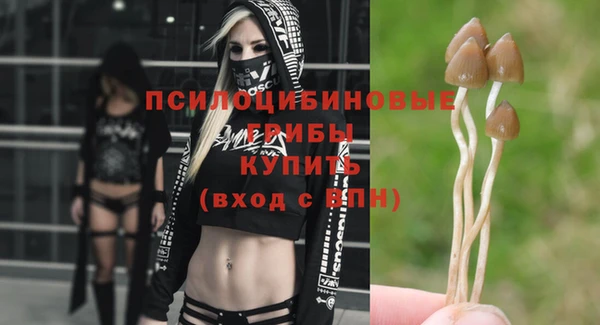 каннабис Белокуриха