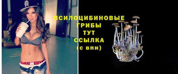 мдпв Богородск
