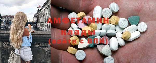 мдпв Богородск