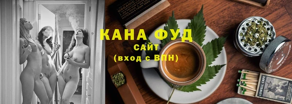 мдпв Богородск
