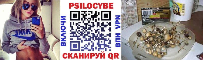 MEGA   Городец  Галлюциногенные грибы Psilocybe 